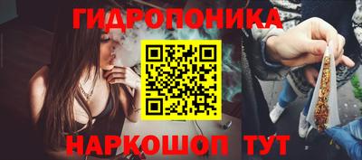 соль ск Будённовск
