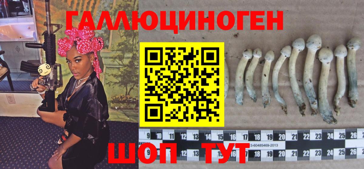 Псилоцибиновые грибы мухоморы Торжок