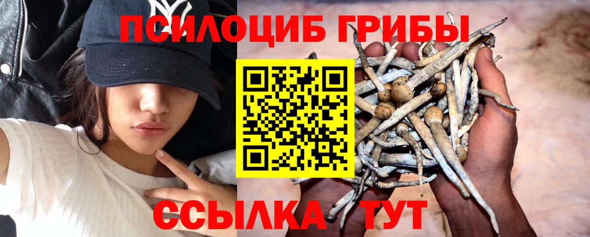 Галлюциногенные грибы ЛСД  Вход с VPN  Торжок  Псилоцибиновые грибы ЛСД 